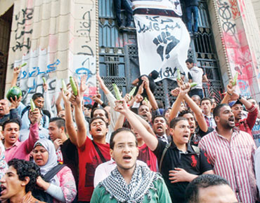 مصر : تظاهرات ترفع "الكوسا والخيار" احتجاجاً على "البراءات"