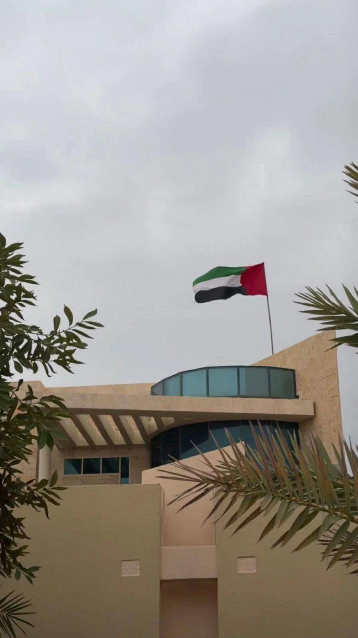 مواطنون: كلنا تحت راية واحدة تجسد التلاحم والعزة