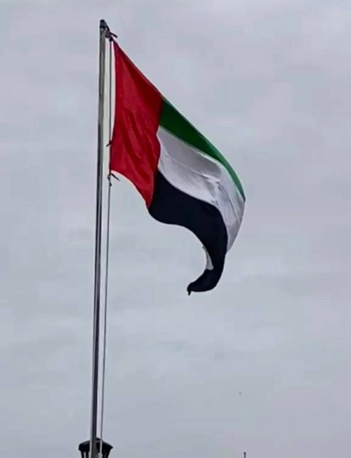 مواطنون: كلنا تحت راية واحدة تجسد التلاحم والعزة