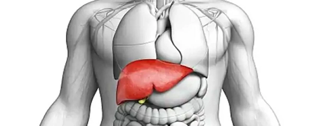 زراعة كبد دون أدوية مناعية مدى الحياة