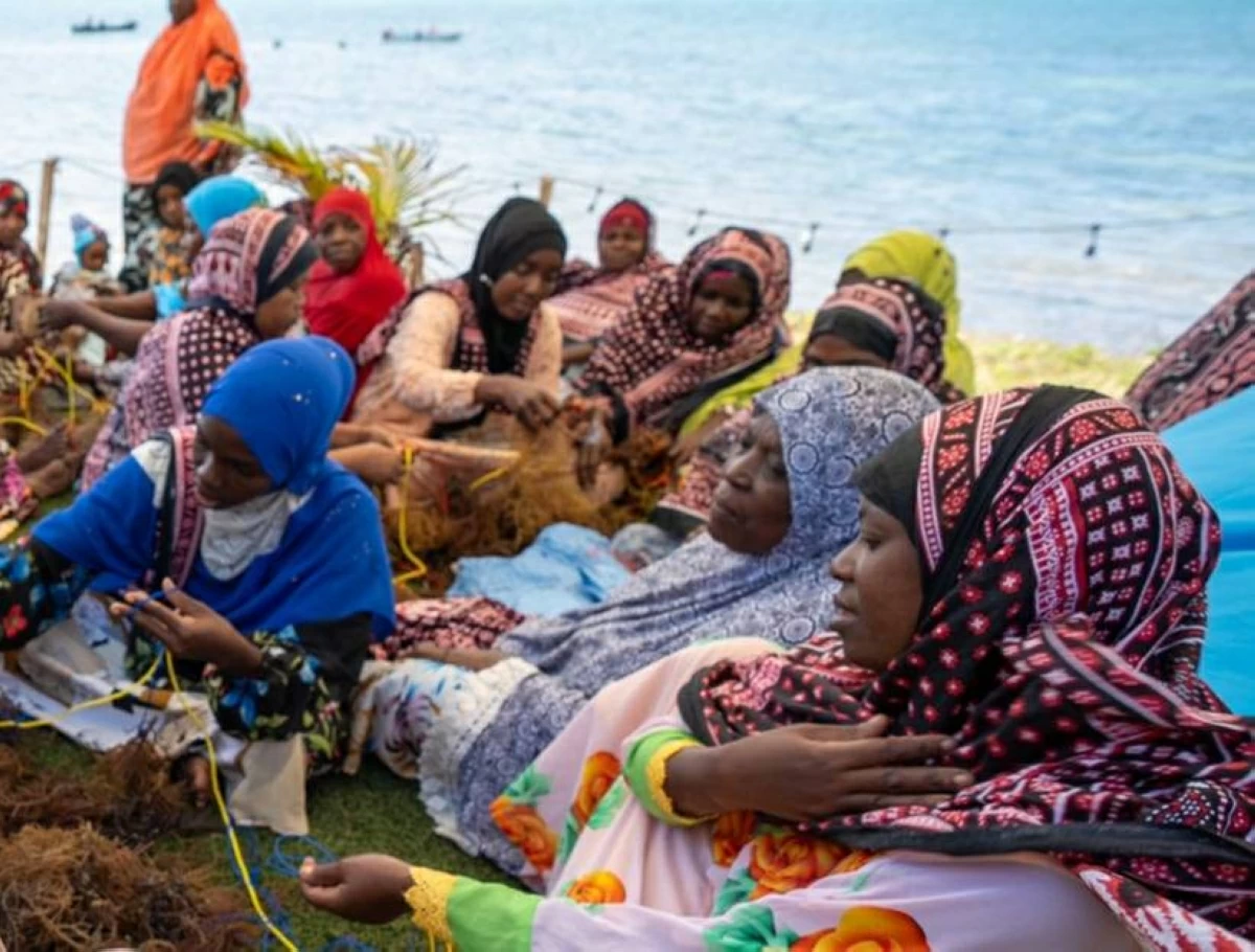 جانب من مشاريع القلب الكبير