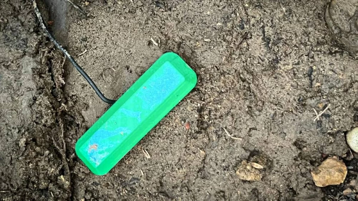 الخلية الجديدة