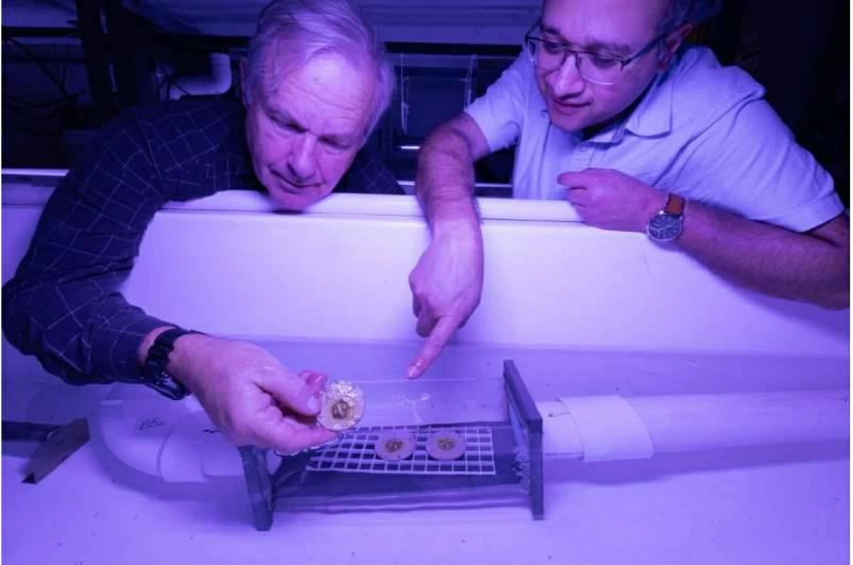 باحثان خلال التجارب