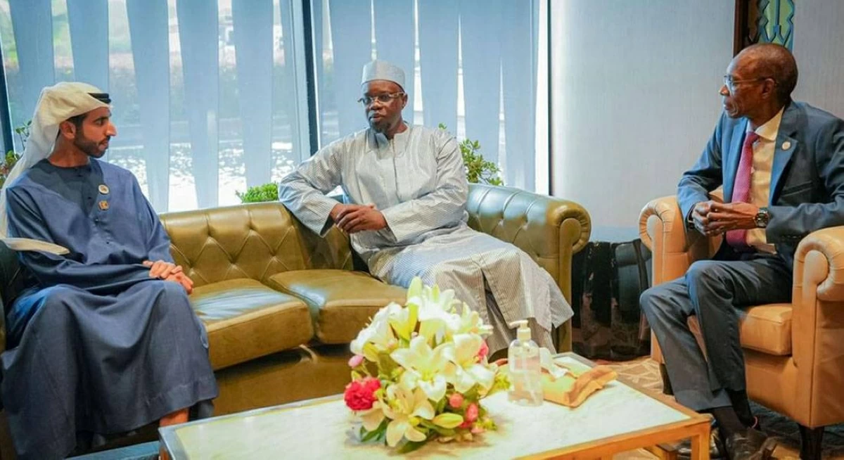 الإمارات تؤكد دعمها الأمن والسلم في إفريقيا