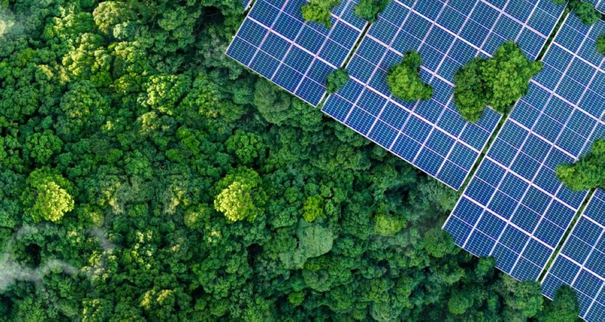 يوم الأرض.. الإمارات نموذج في حماية البيئة وتحقيق الاستدامة