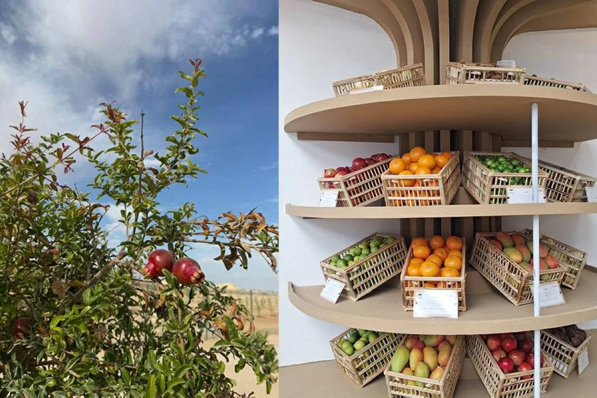 بلدية العين: مشاريع مبتكرة تدعم الأمن الغذائي