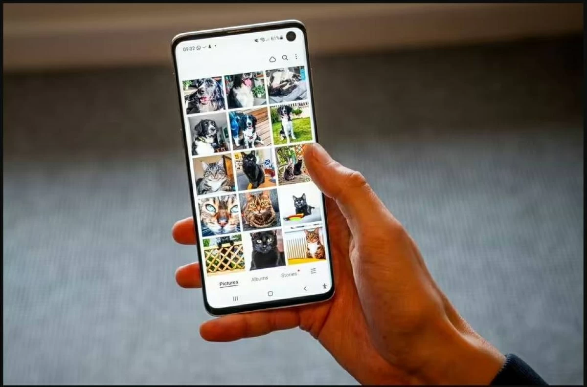بريطانيون يملأون هواتفهم بصور حيواناتهم