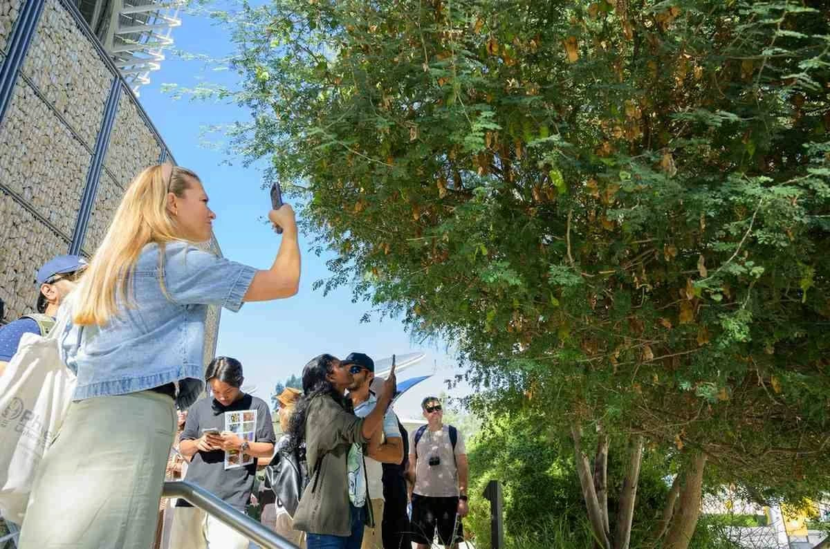 «طبيعة المدينة».. تحد لتوثيق جماليات الحياة البرية في دبي