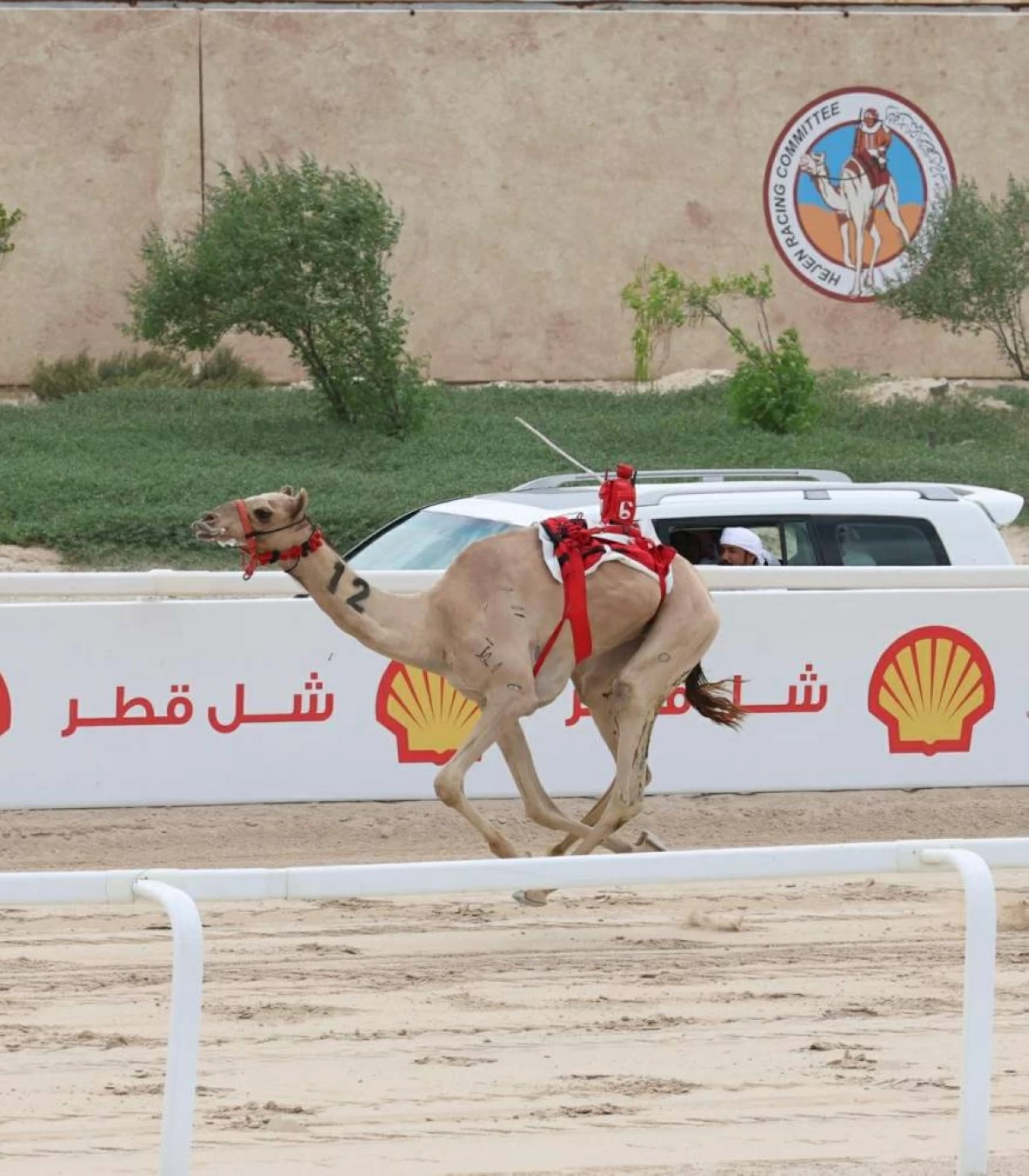 «الشبابي» يتقدم ببراعة نحو خط النهاية