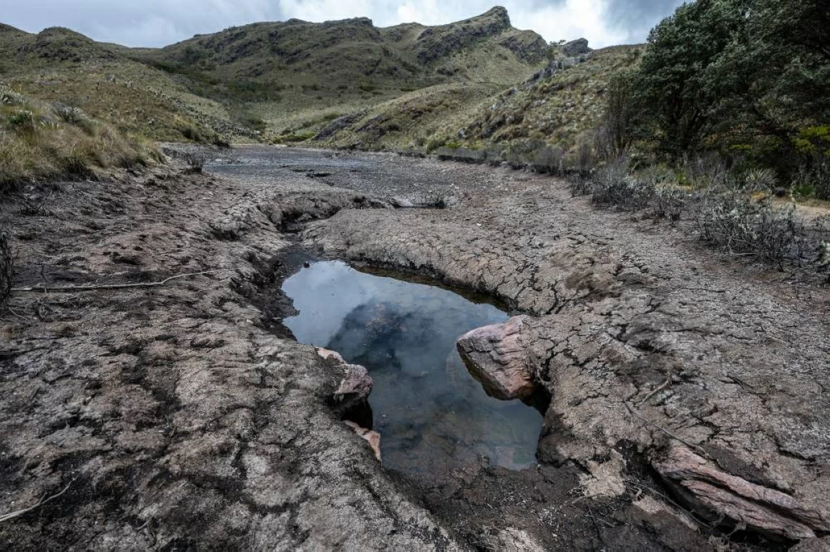 ترجيح عودة ظاهرة «النينو» في منتصف 2026
