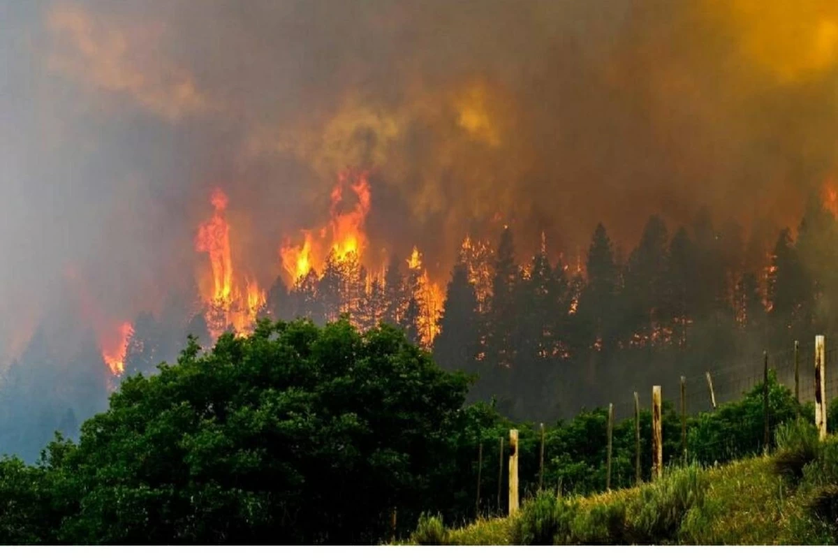 اليابان تنشر 1400 عنصر إطفاء لإخماد حرائق الغابات في الشمال