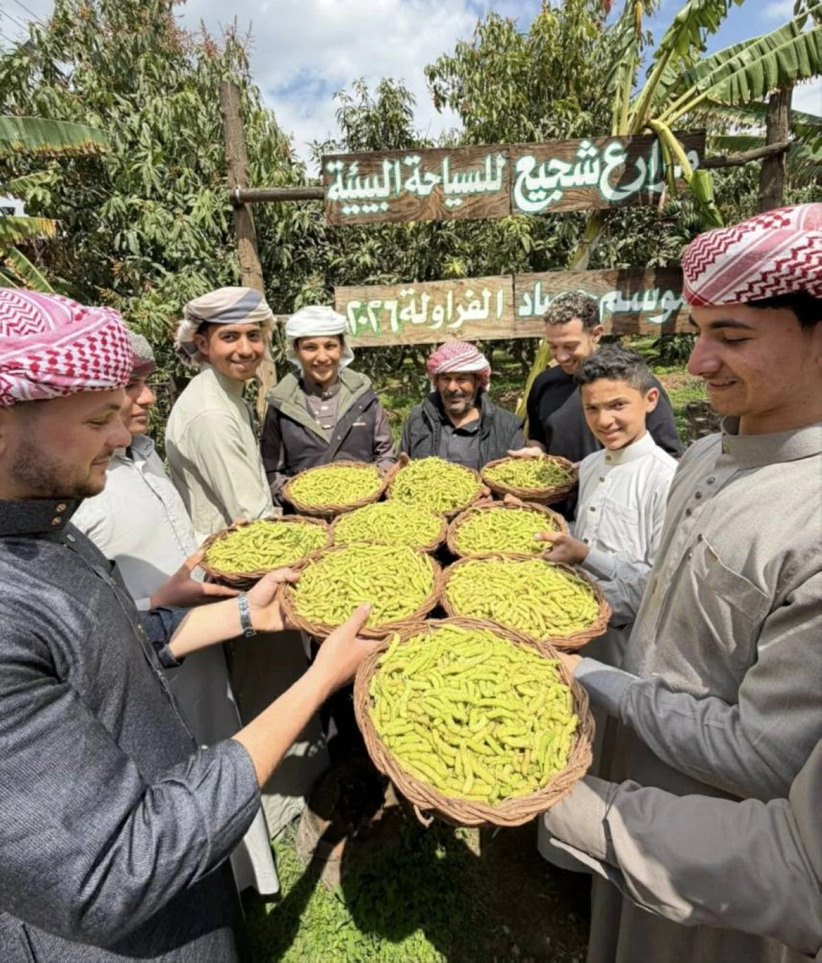 قرية صرد.. مملكة التوت في مصر