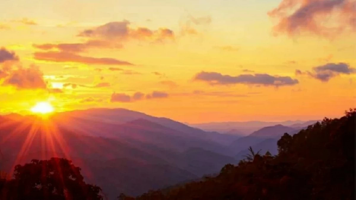 مركز اقتصادي وصناعي عالمي