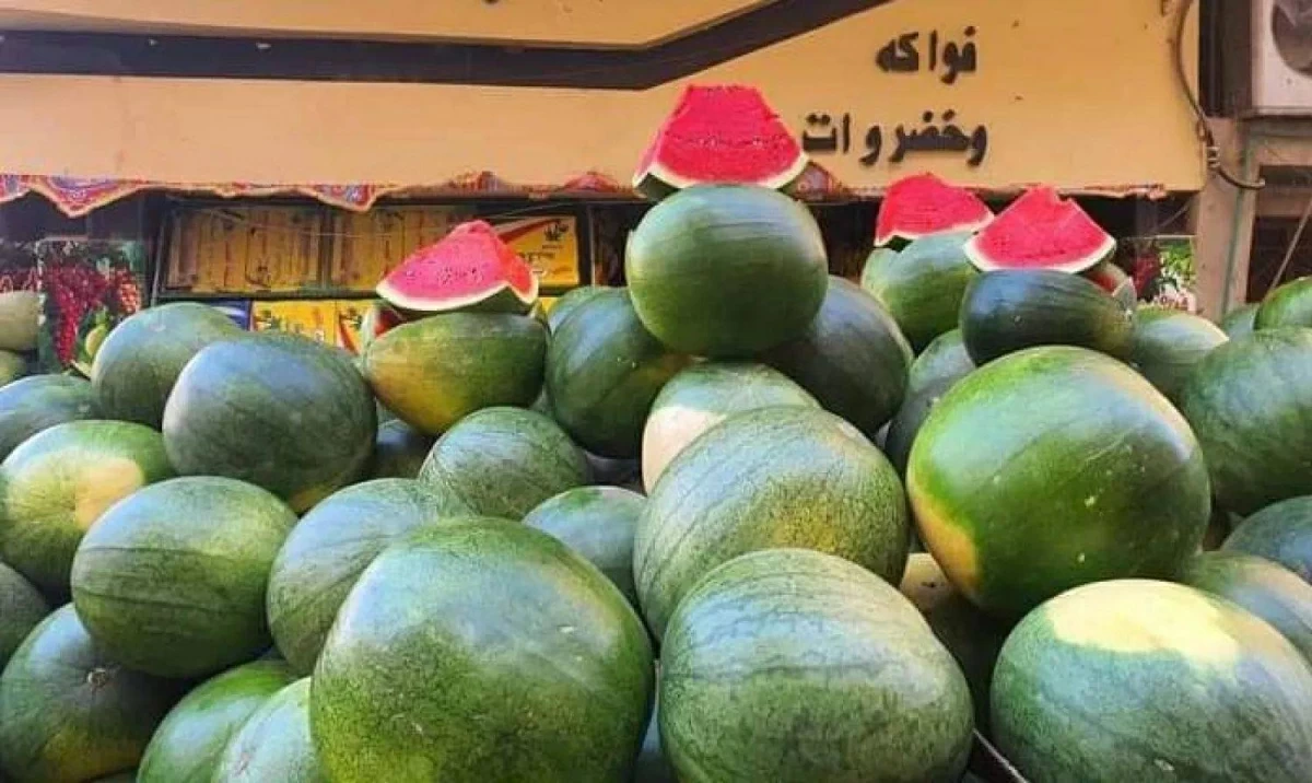 هل البطيخ في مصر مسمم؟.. «الزراعة» تكشف الحقيقة كاملة