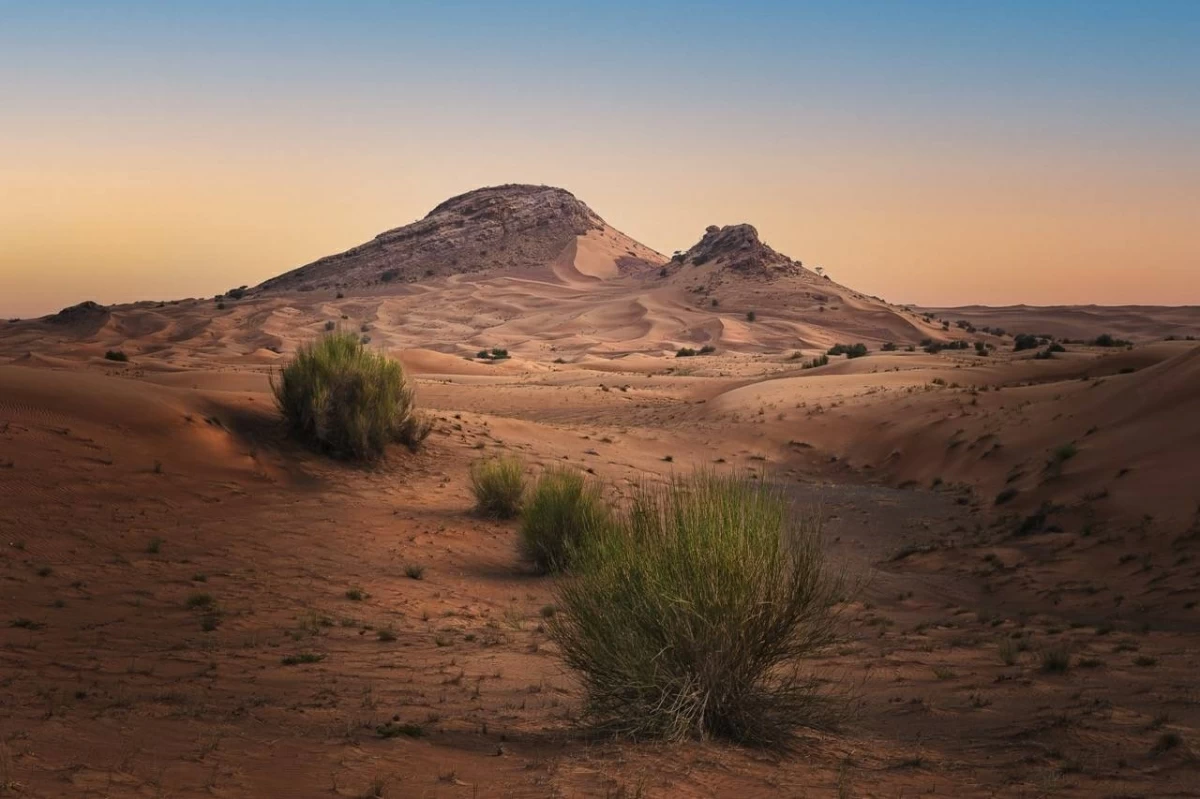 كبرى المؤسسات البحثية العالمية تتنافس على «منحة الفاية»