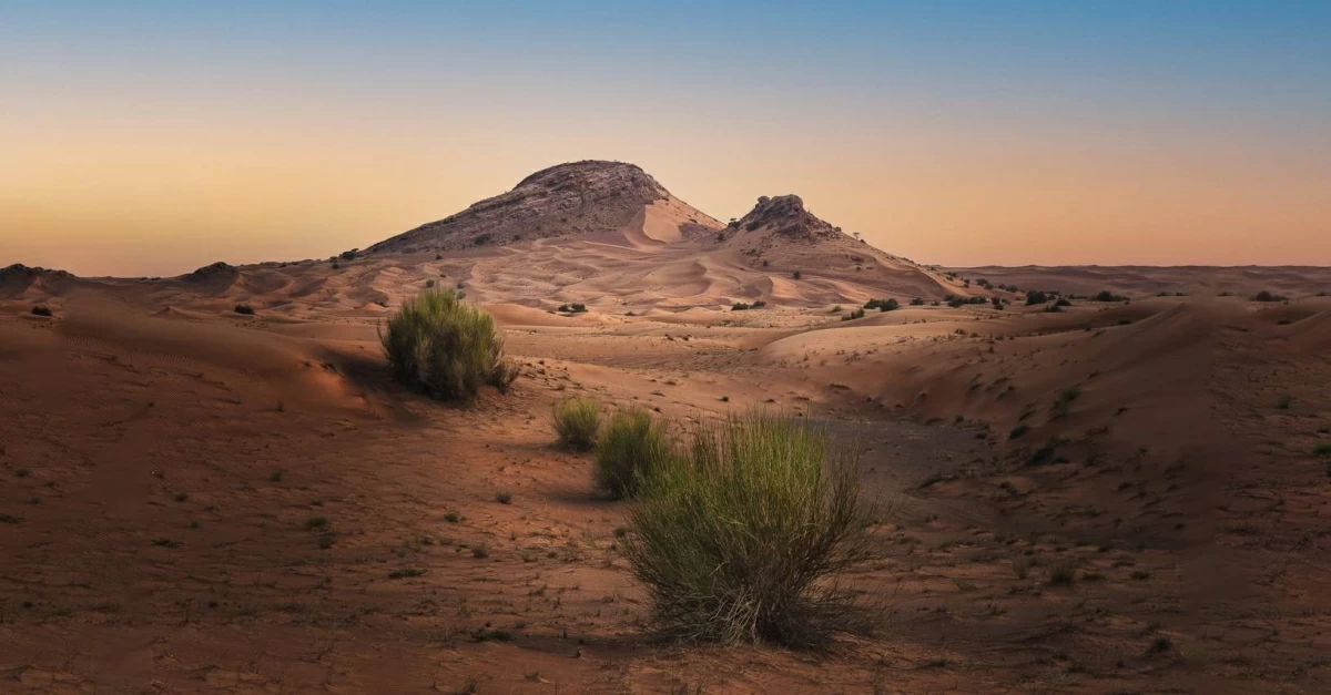 كبرى المؤسسات البحثية العالمية تتنافس على «منحة الفاية»
