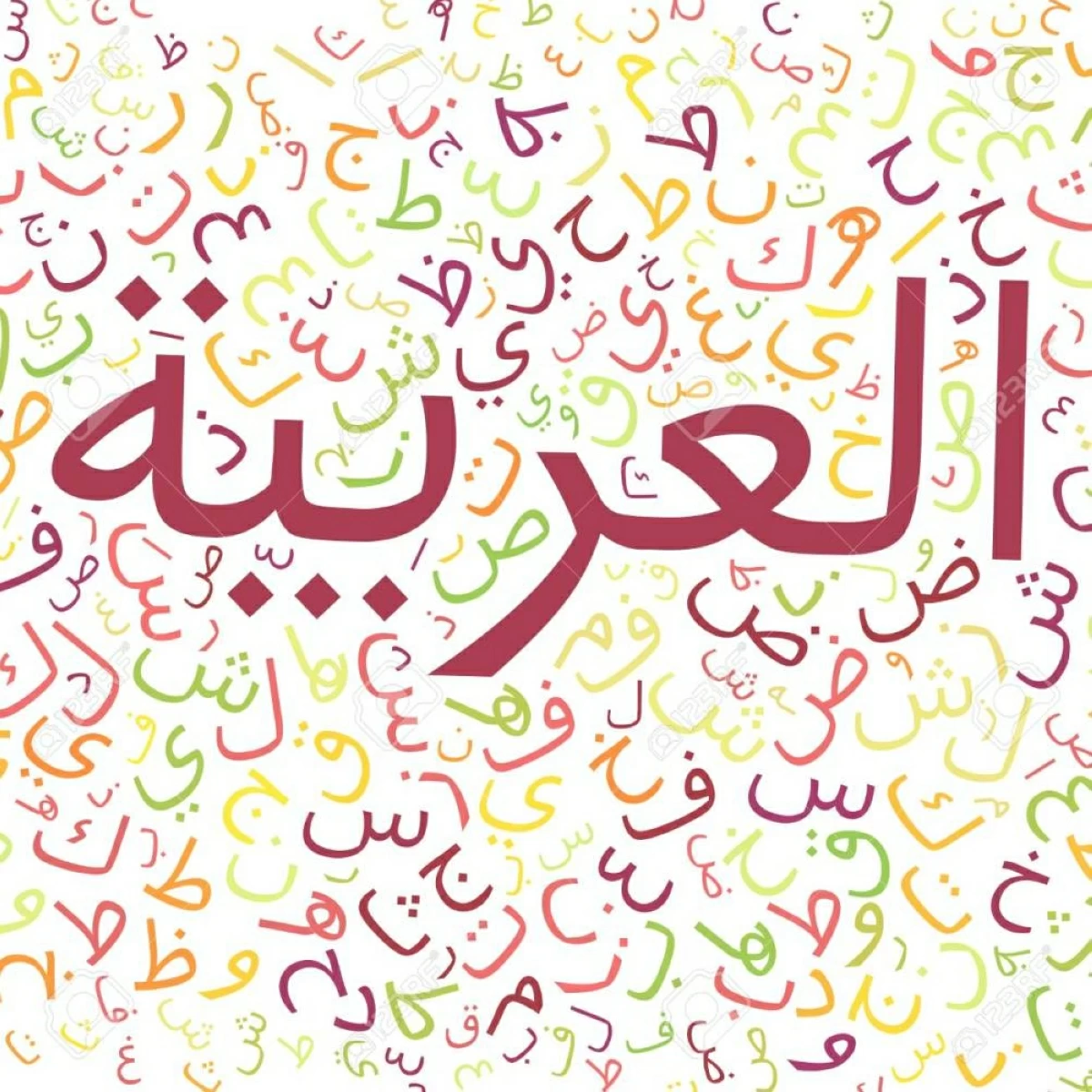 اللغة لها قوانين رياضية وتتطور كالكائنات الحية