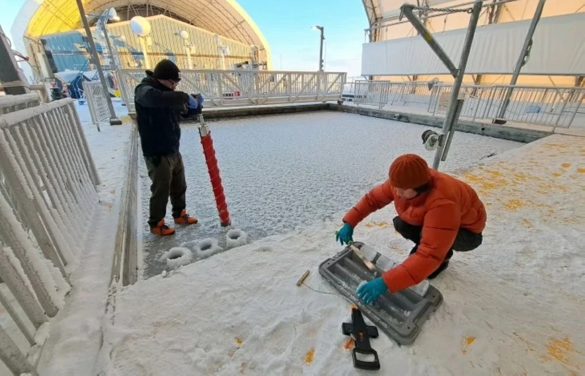 اختبار ميكروبات «آكلة للنفط» لمواجهة كوارث بيئية #صحيفة_الخليج 