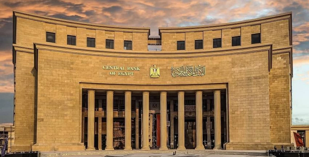 المركزي المصري: تحويلات العاملين في الخارج بلغت 29.4 مليار دولار في 8 أشهر