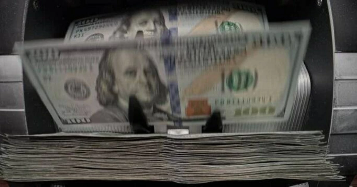 سعر الدولار يستقر في البنوك المصرية مع تقارب الأسعار بين الحكومية والخاصة — image 1
