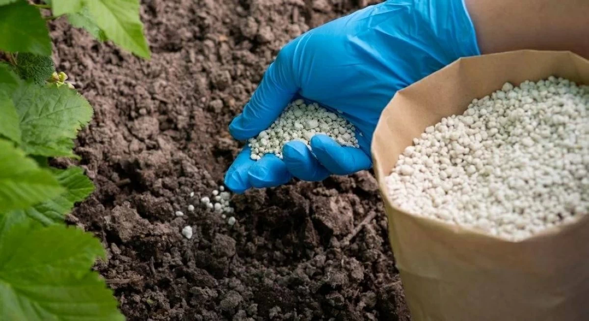 صناعة الأسمدة في ألمانيا تنشط بدون أرباح