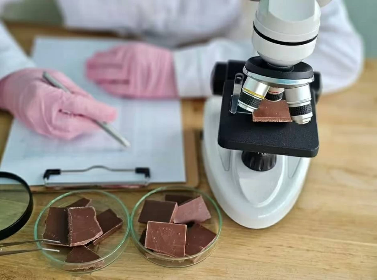 شوكولات مصنعة في المختبر لمواجهة تحديات المناخ