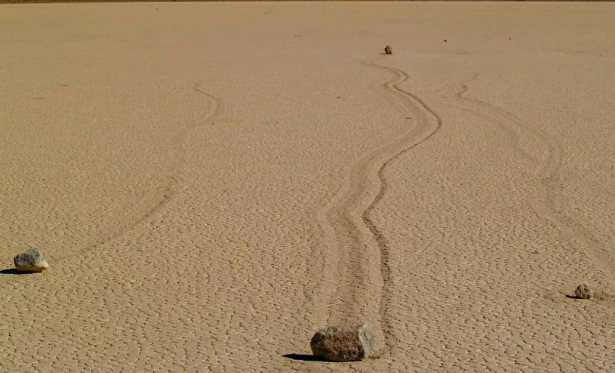 الألواح الجليدية الرقيقة هي المسؤولة  