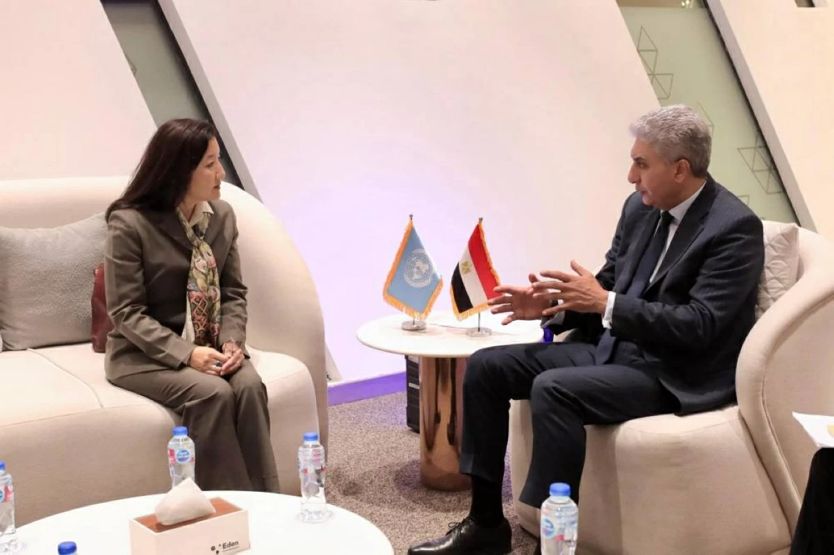 تعاون مصري مع الأمم المتحدة لحماية التراث