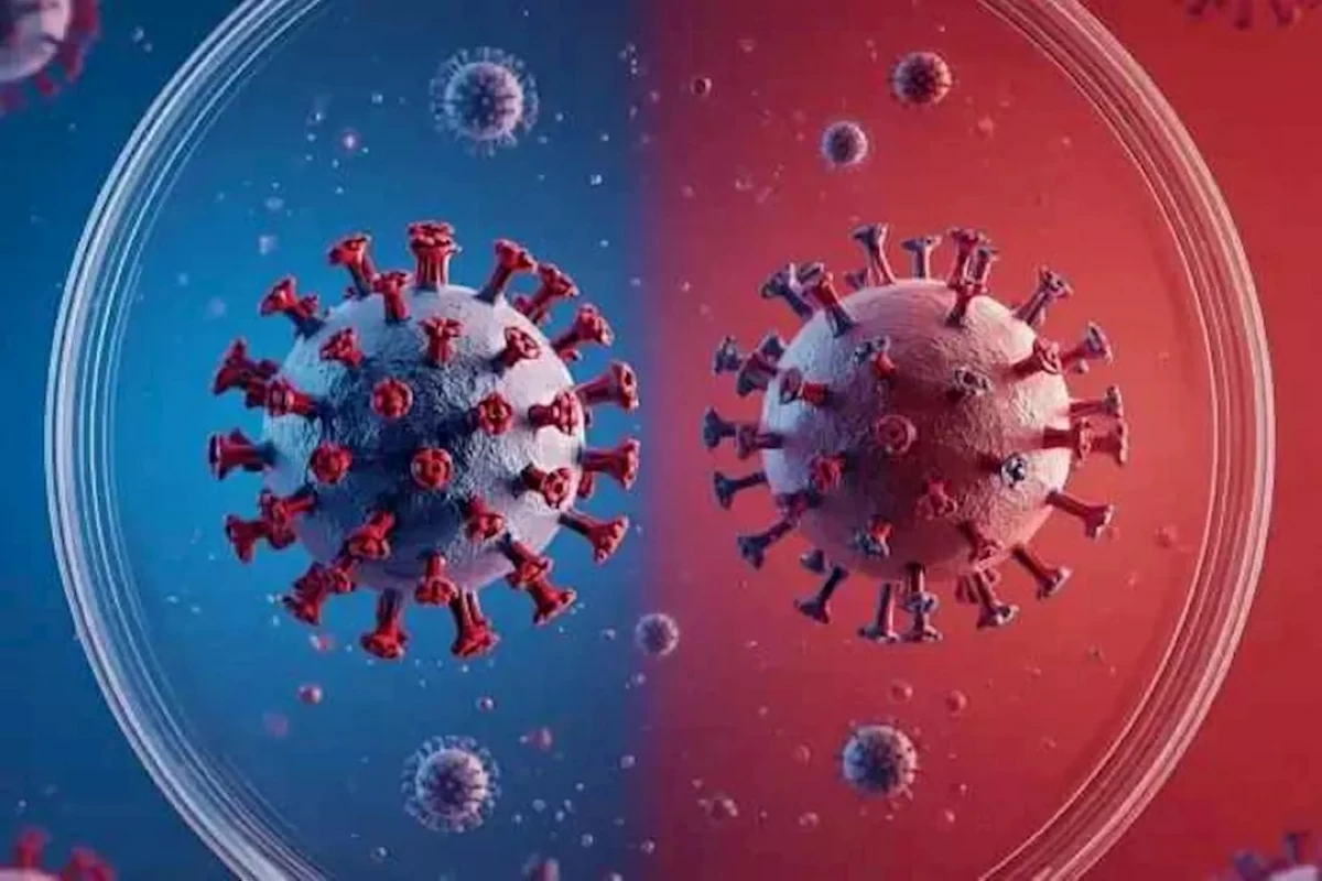 «الصحة العالمية»: خطر تفشّي «هانتا» منخفض كثيراً