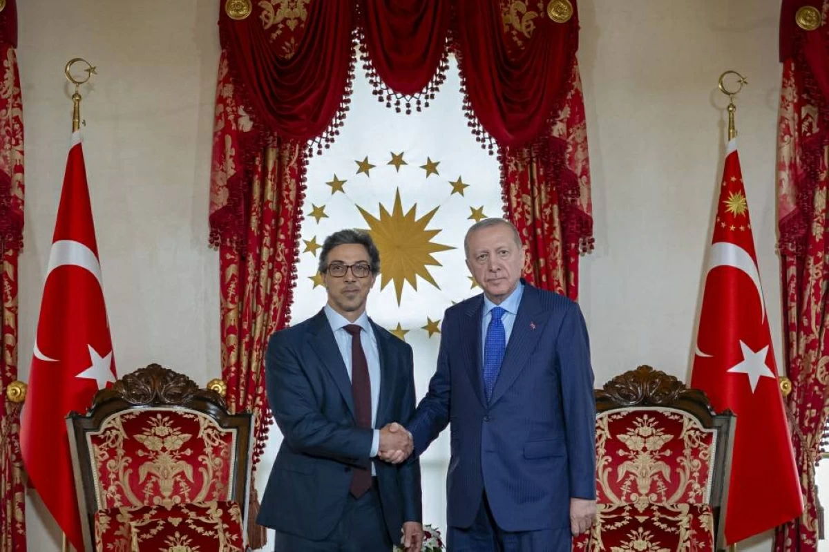 منصور بن زايد وأردوغان يبحثان تطورات الشرق الأوسط وتداعياتها على الأمن والاستقرار