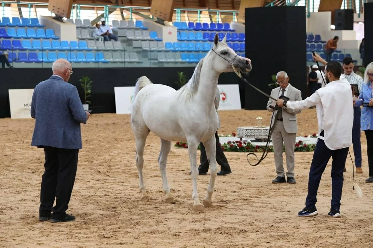 من منافسات سابقة
