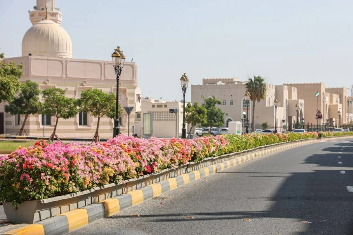 بلدية دبا الحصن تزرع 55 ألف شتلة لتعزيز الغطاء النباتي