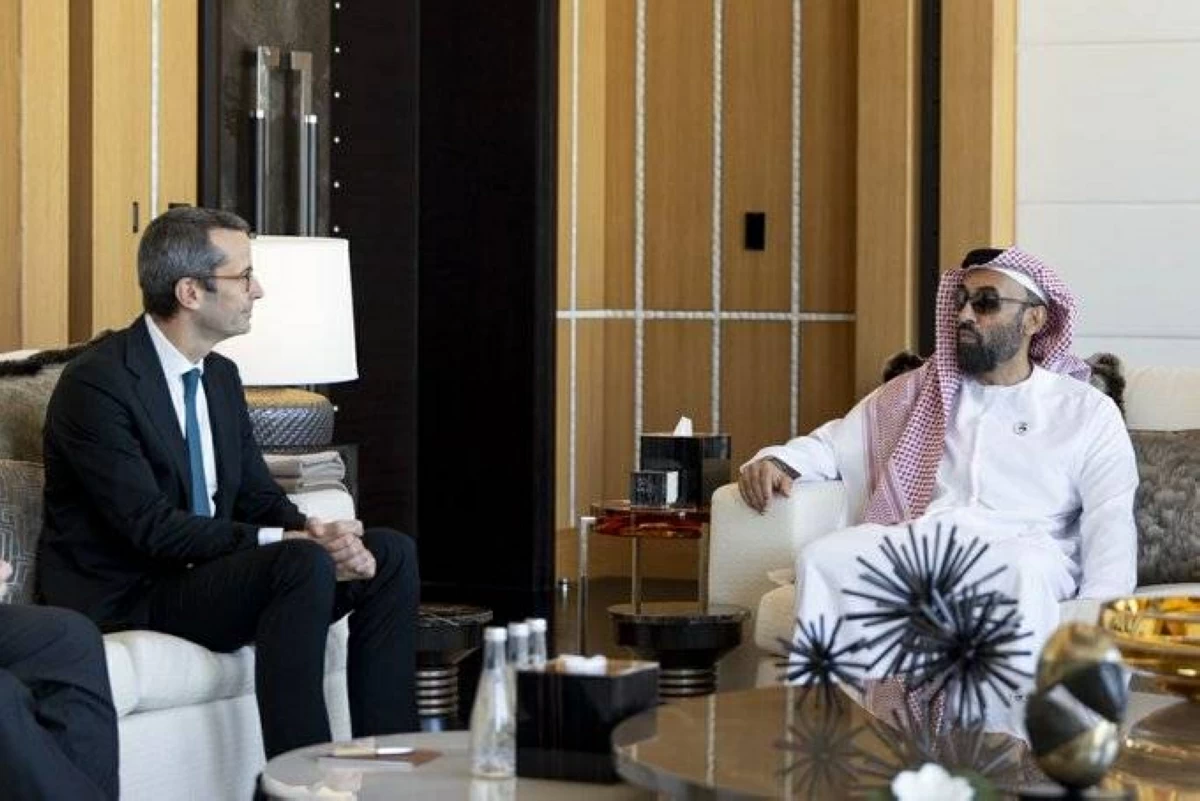 طحنون بن زايد يبحث مع مسؤول ألماني سبل دعم السلام والاستقرار