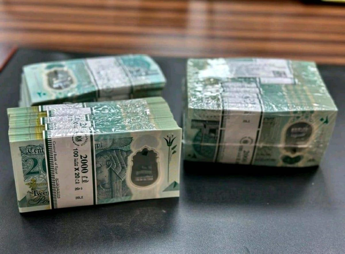 المركزي المصري يحسم الجدل حول عملات 10 و20 جنيهاً البلاستيكية