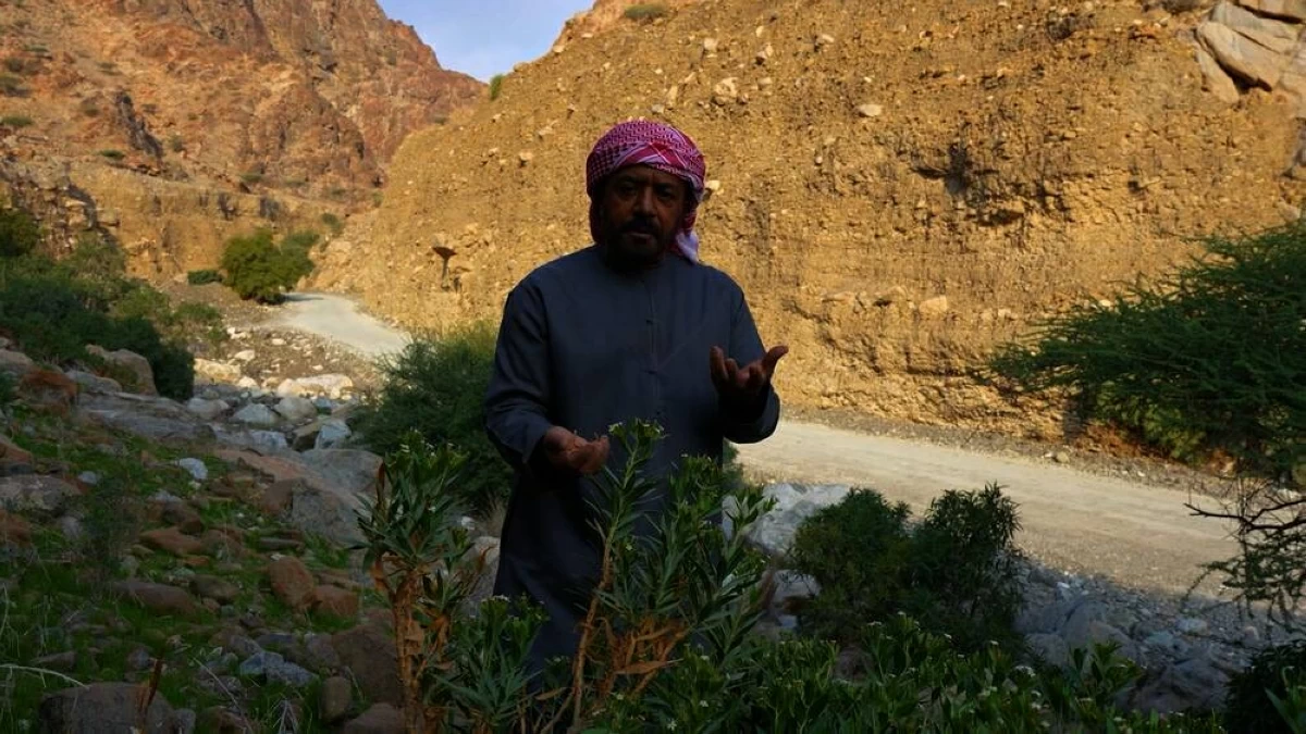 برامج تلامس اهتمامات الجمهور على «الشرقية من كلباء» خلال مايو
