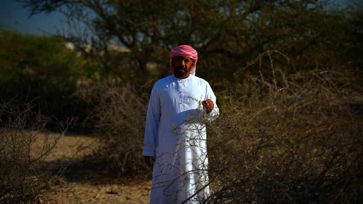 برامج تلامس اهتمامات الجمهور على «الشرقية من كلباء» خلال مايو