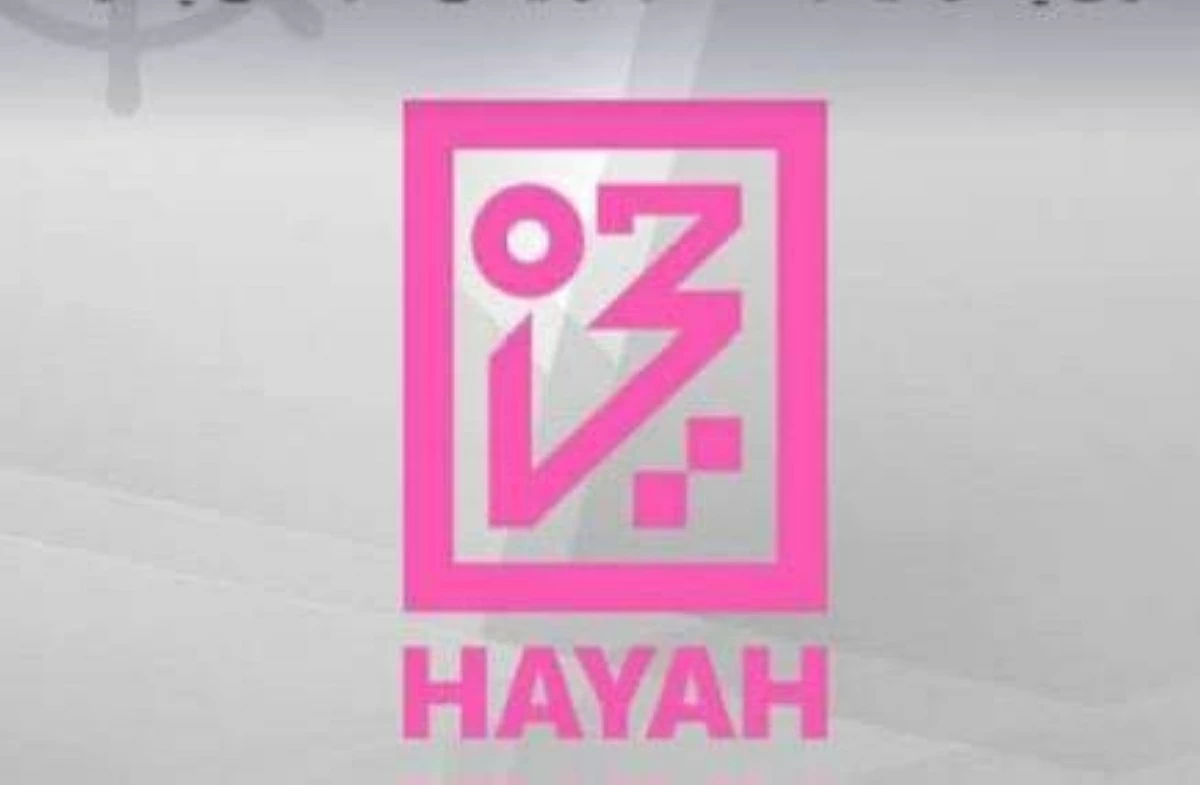 1.2 مليون درهم أرباح حياة للتأمين بنمو 133%
