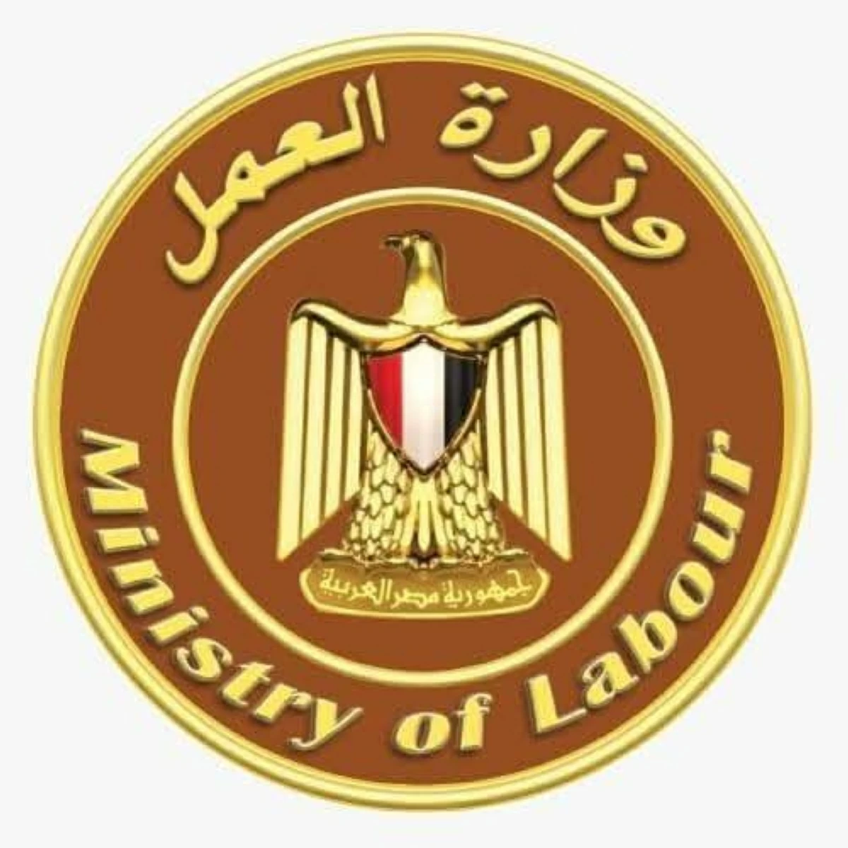 بعد رسالة طفل… وزارة العمل المصرية تتحرك لإنقاذ أسرة فقدت مصدر دخلها