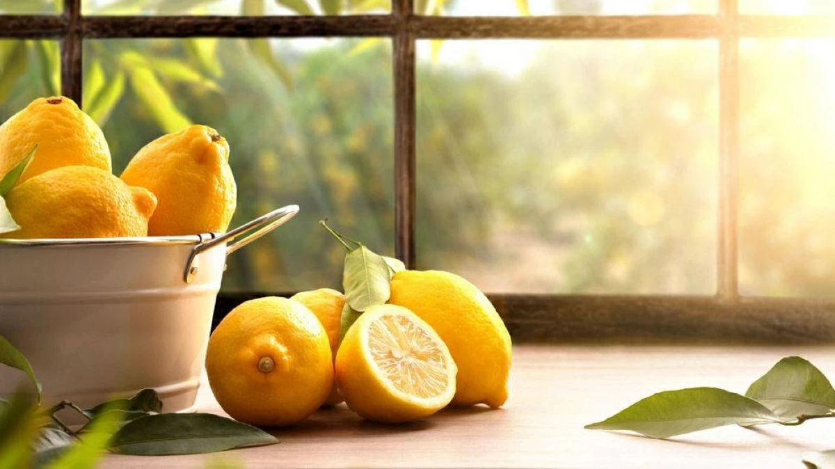 7 فوائد مذهلة قد لا تعرفها..لماذا يجب وضع شرائح الليمون بجوار السرير؟