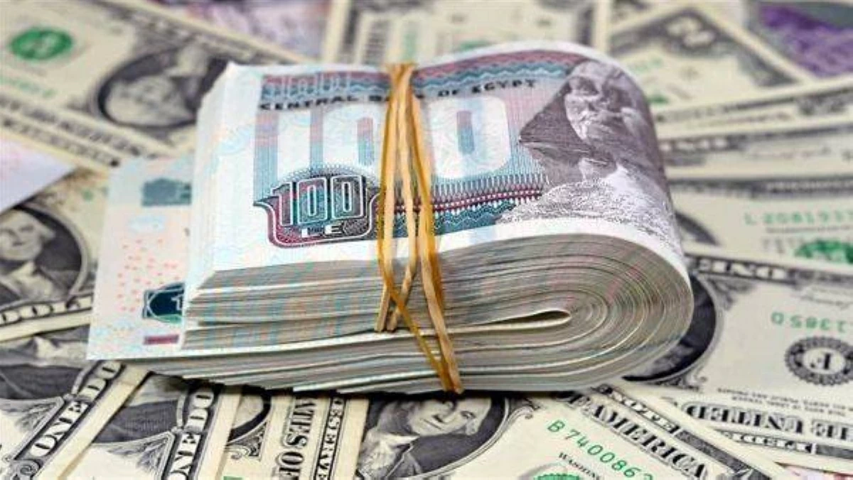سعر الدولار في مصر الأربعاء 20 مايو 2026.. مصير الجنيه بعد تصريحات حكومية عن البنزين