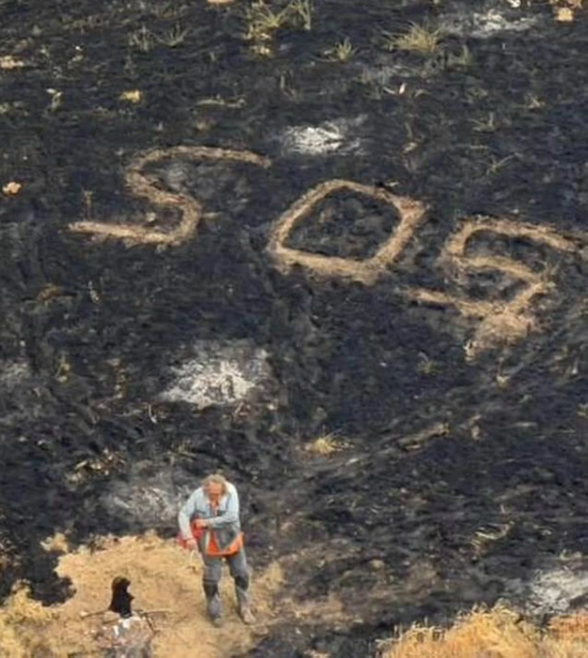 البحار مع عبارة «SOS»