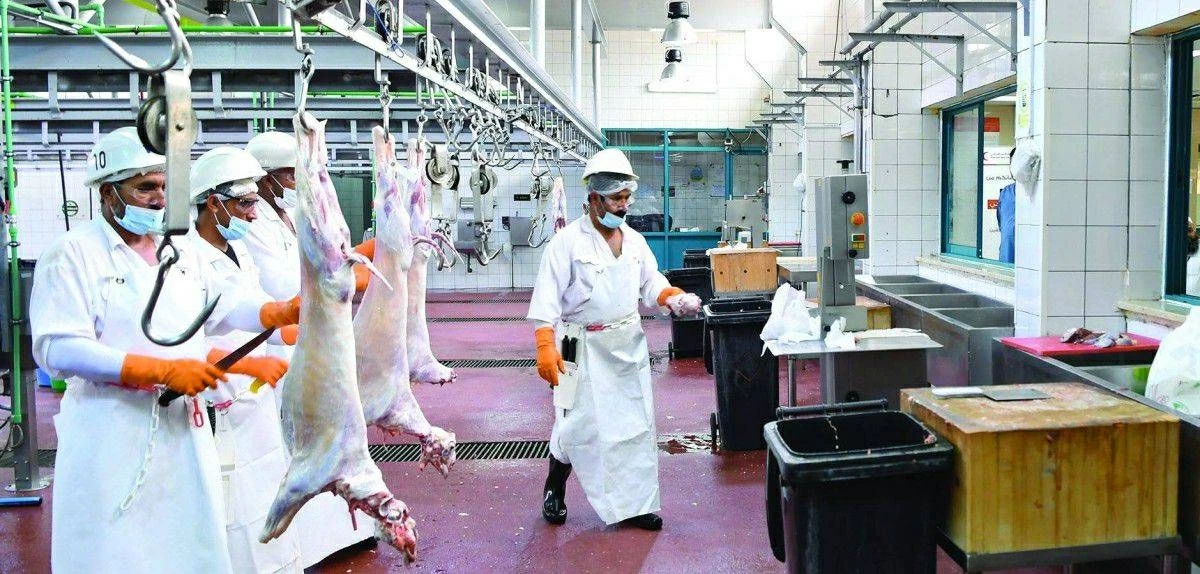 «الإمارات للإفتاء» يحسم حكم التوكيل في الأضحية.. هل يشترط حضور المضحي أثناء الذبح؟