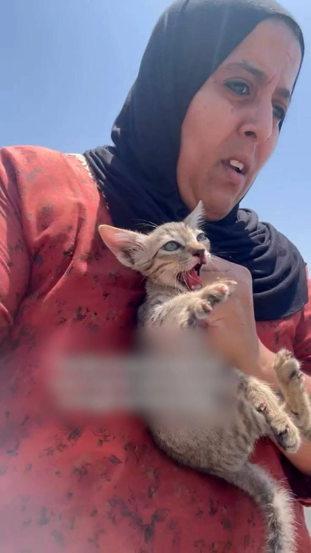 بين الحر والعطش.. مقيمة في شارقة الرحمة تغيّر مصير قطة في لحظات (فيديو)