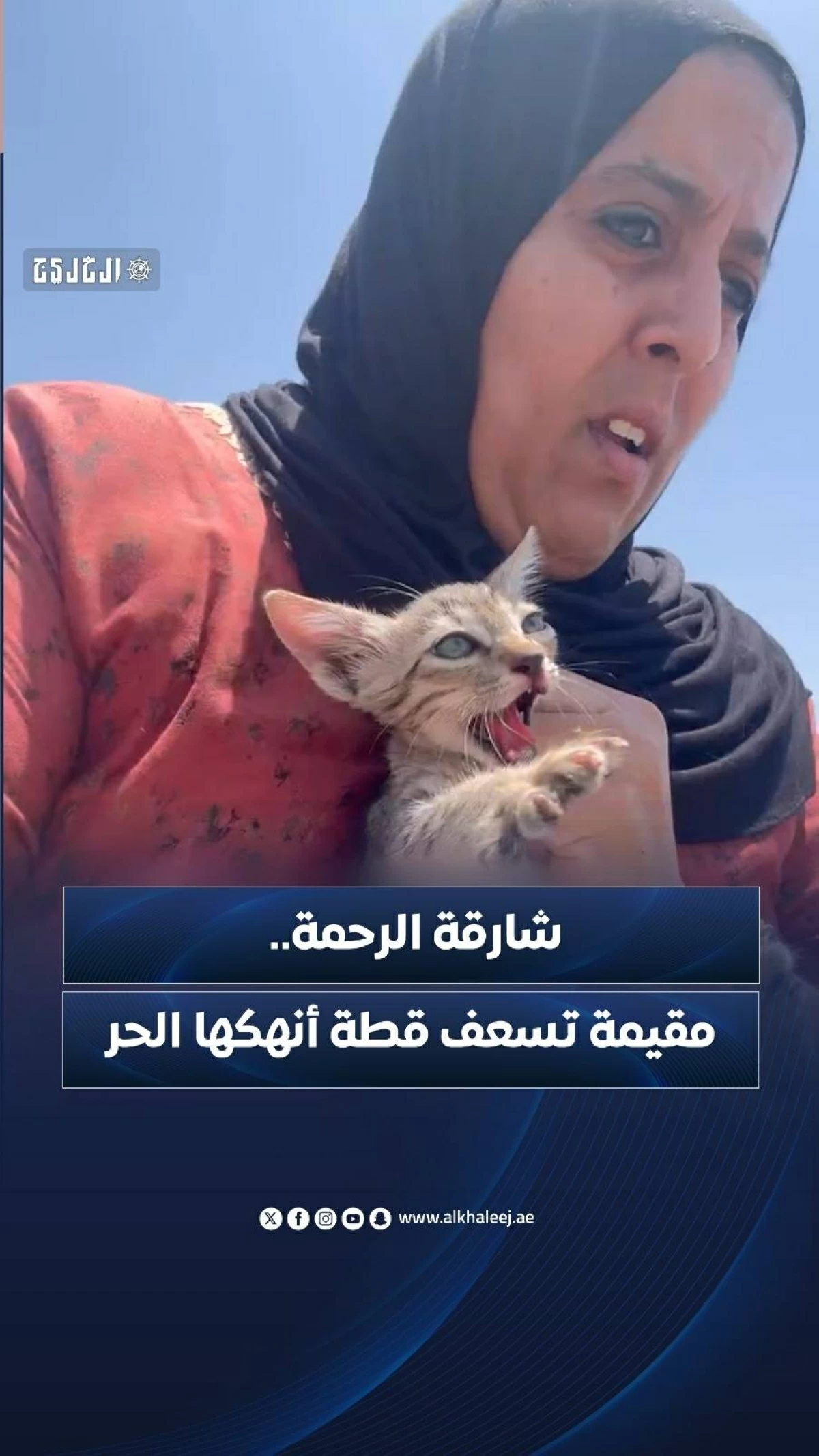 مقيمة تسعف قطة أنهكها الحر في شارقة الرحمة