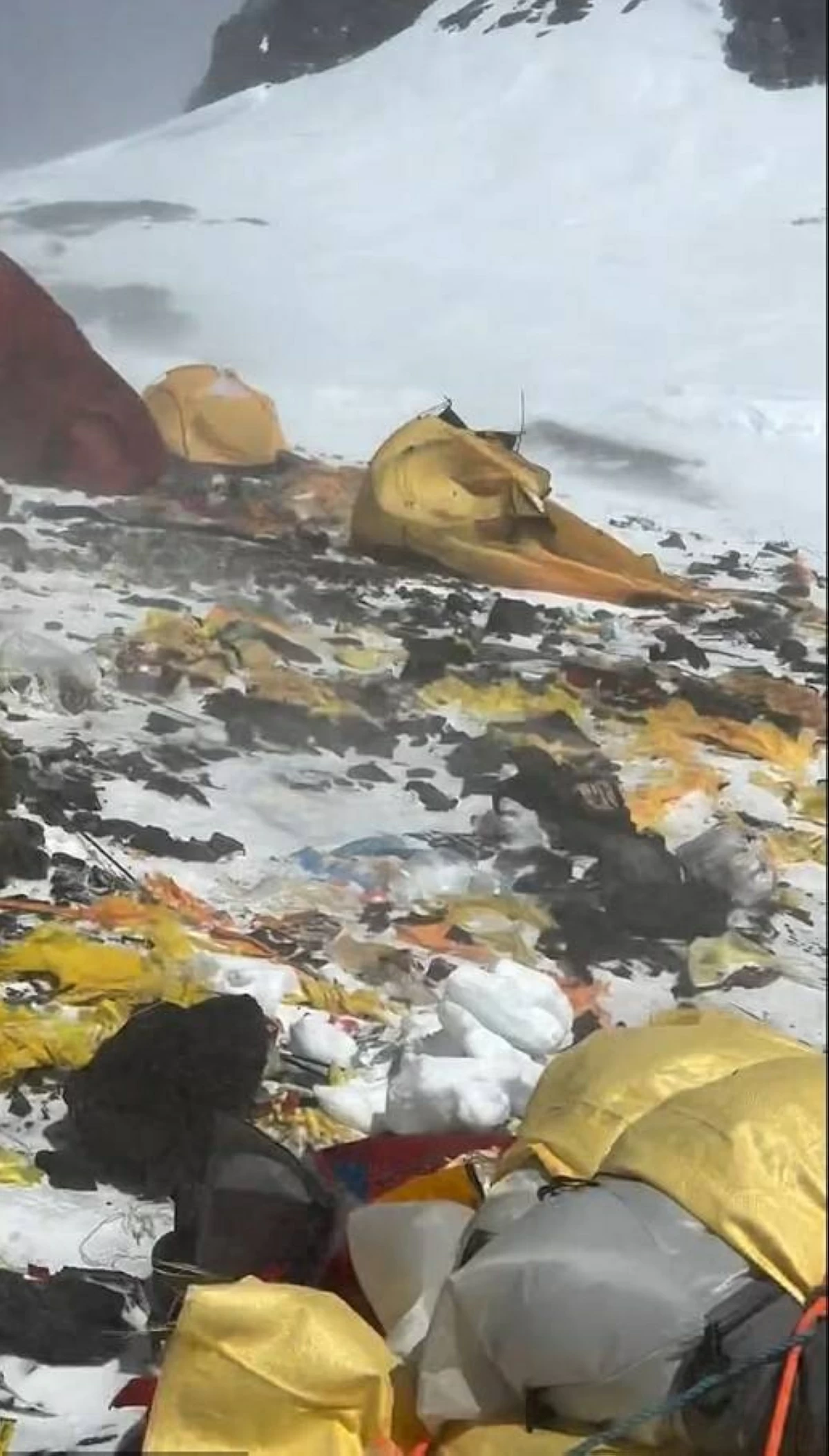 القمامة