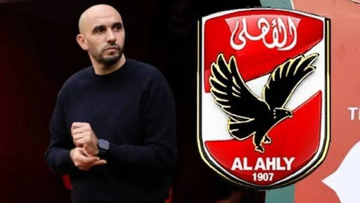 وليد الركراكي على رادار الأهلي المصري.. تفاصيل