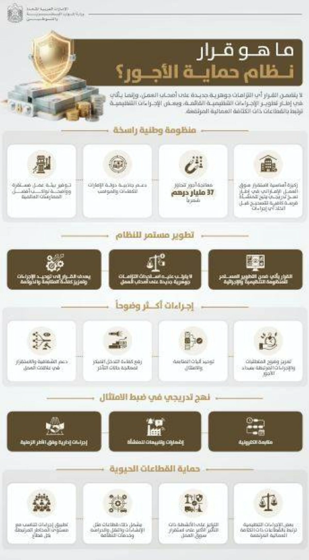 الإمارات: نظام حماية الأجور يدير رواتب تتجاوز 37 ملياراً شهرياً