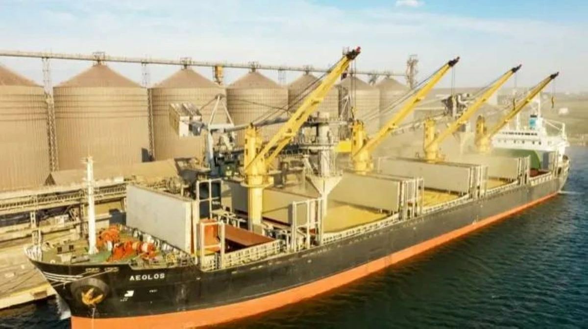 Ukraine targets five Russian ships