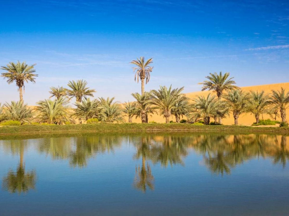أبوظبي تقود صياغة الحلول البيئية بالابتكار العلمي