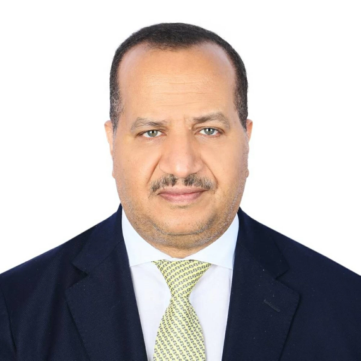 الدكتور عماد الدين حسين